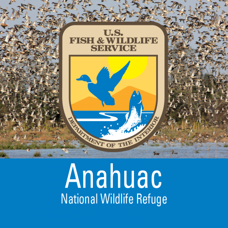 Anahuac National Wildlife Refuge