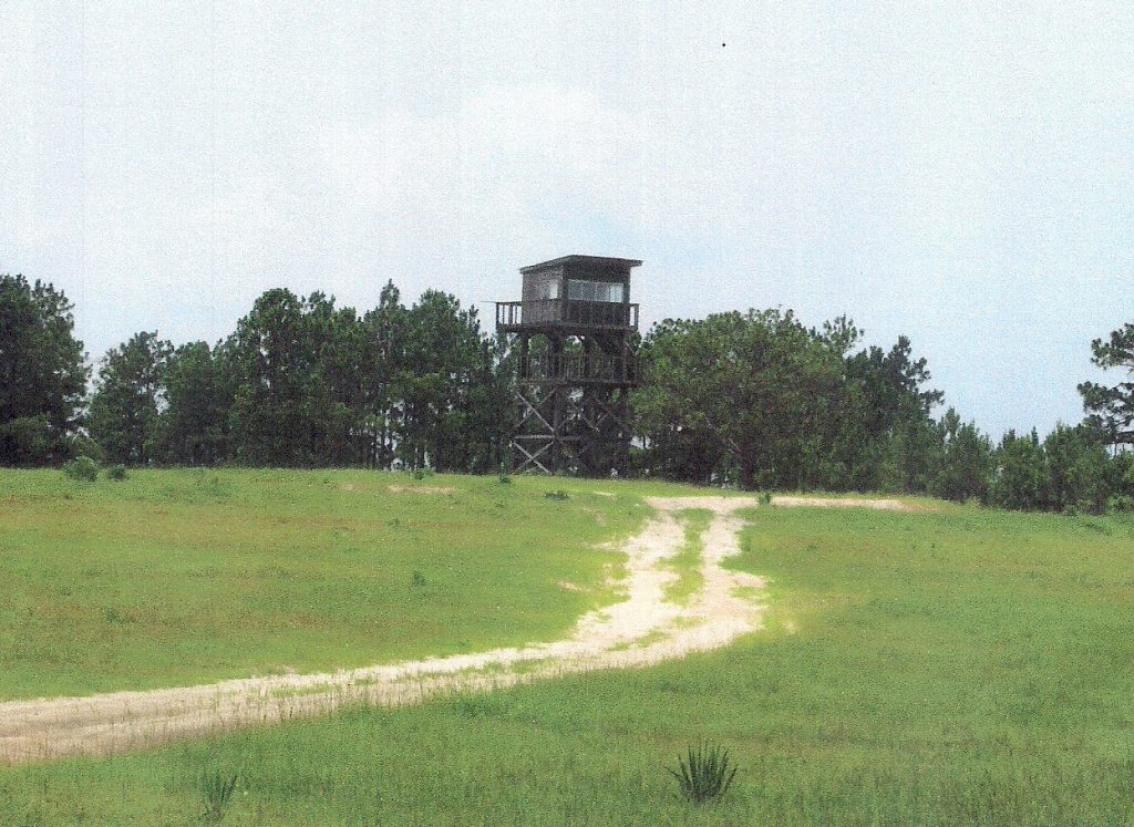 Bull Nettle Hill Observation Tower