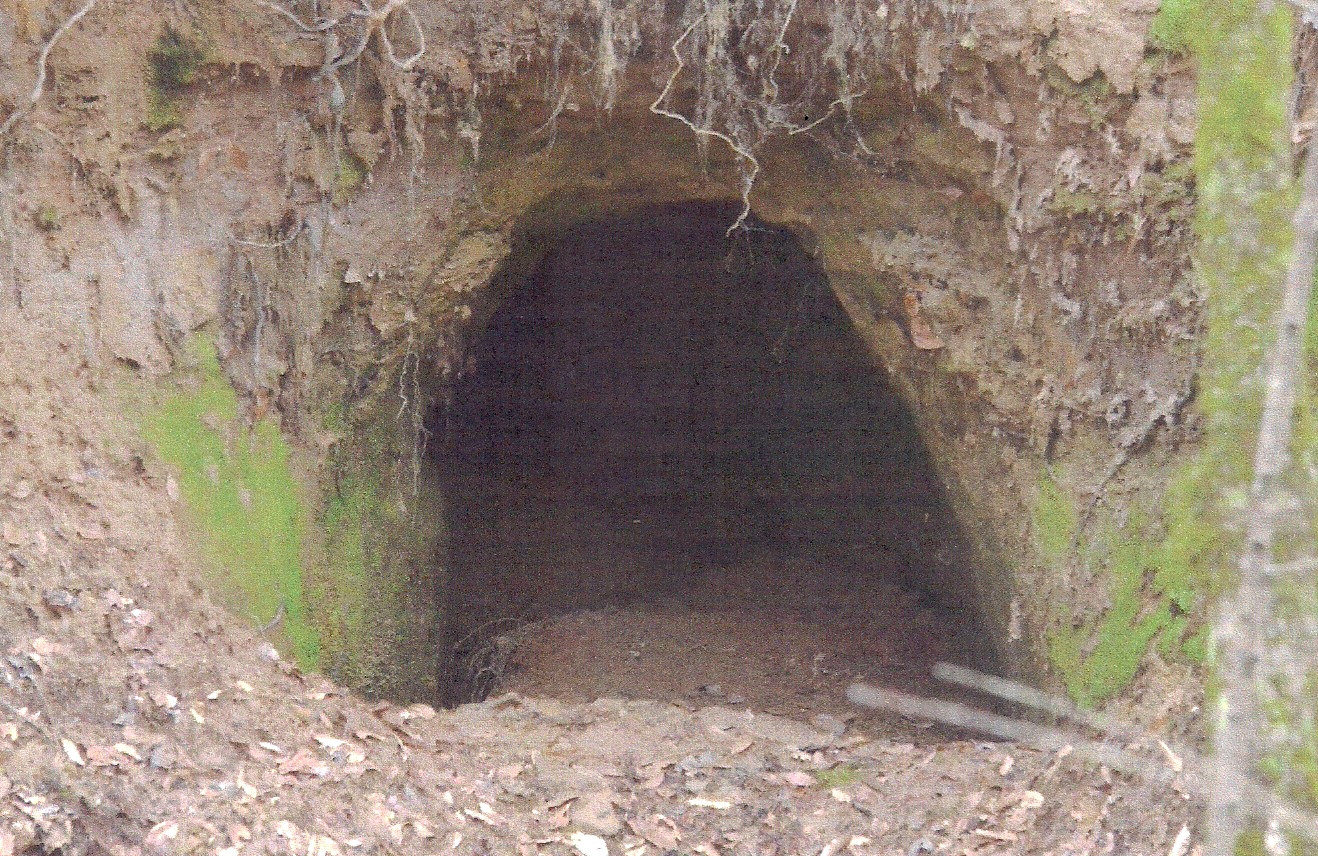 One of several entrances of Murrell's Caves in the Clearwater Community of Sabine Parish